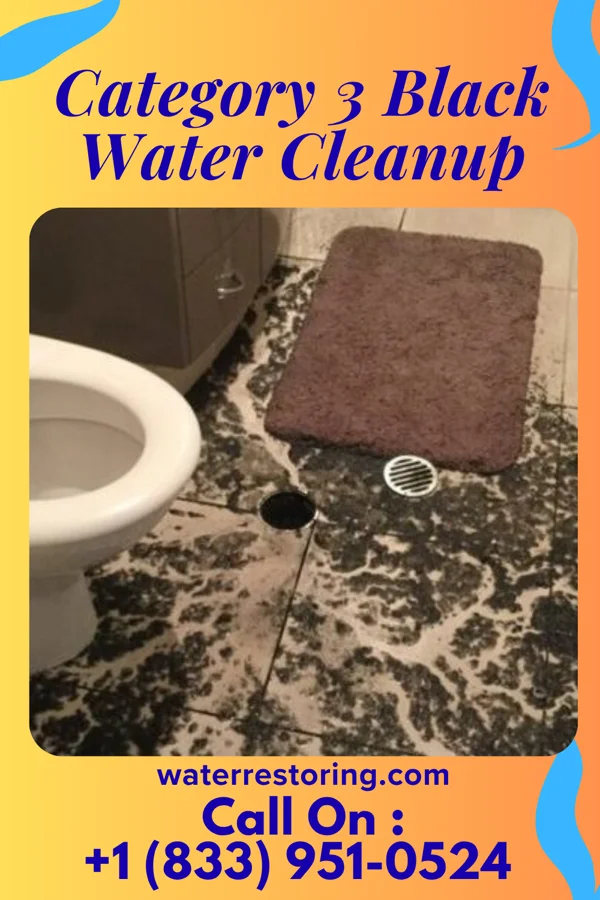 Category 3 Black Water Cleanup in North Enid, OK